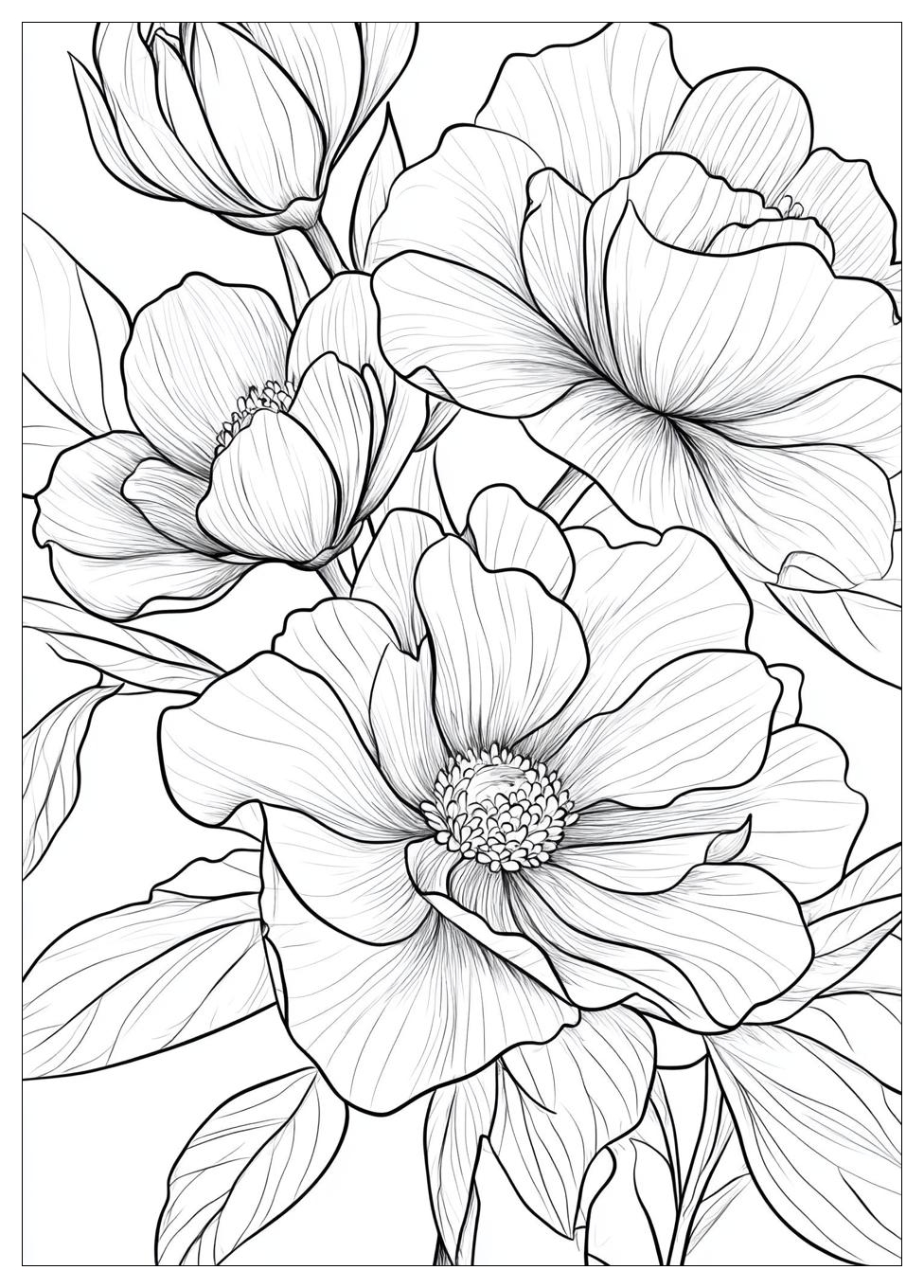 hand_coloring_pages_22