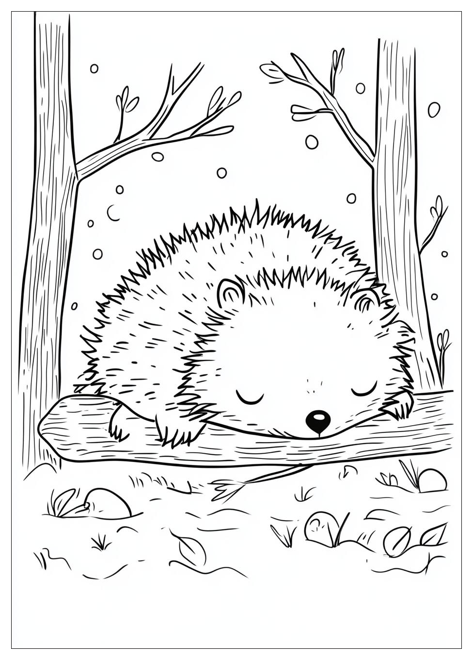 hibernation_coloring_pages_12