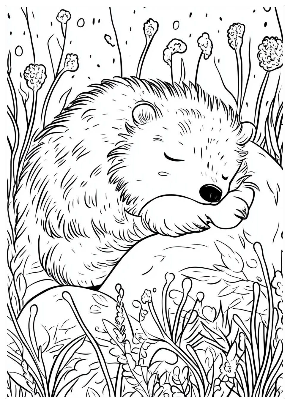 hibernation_coloring_pages_17