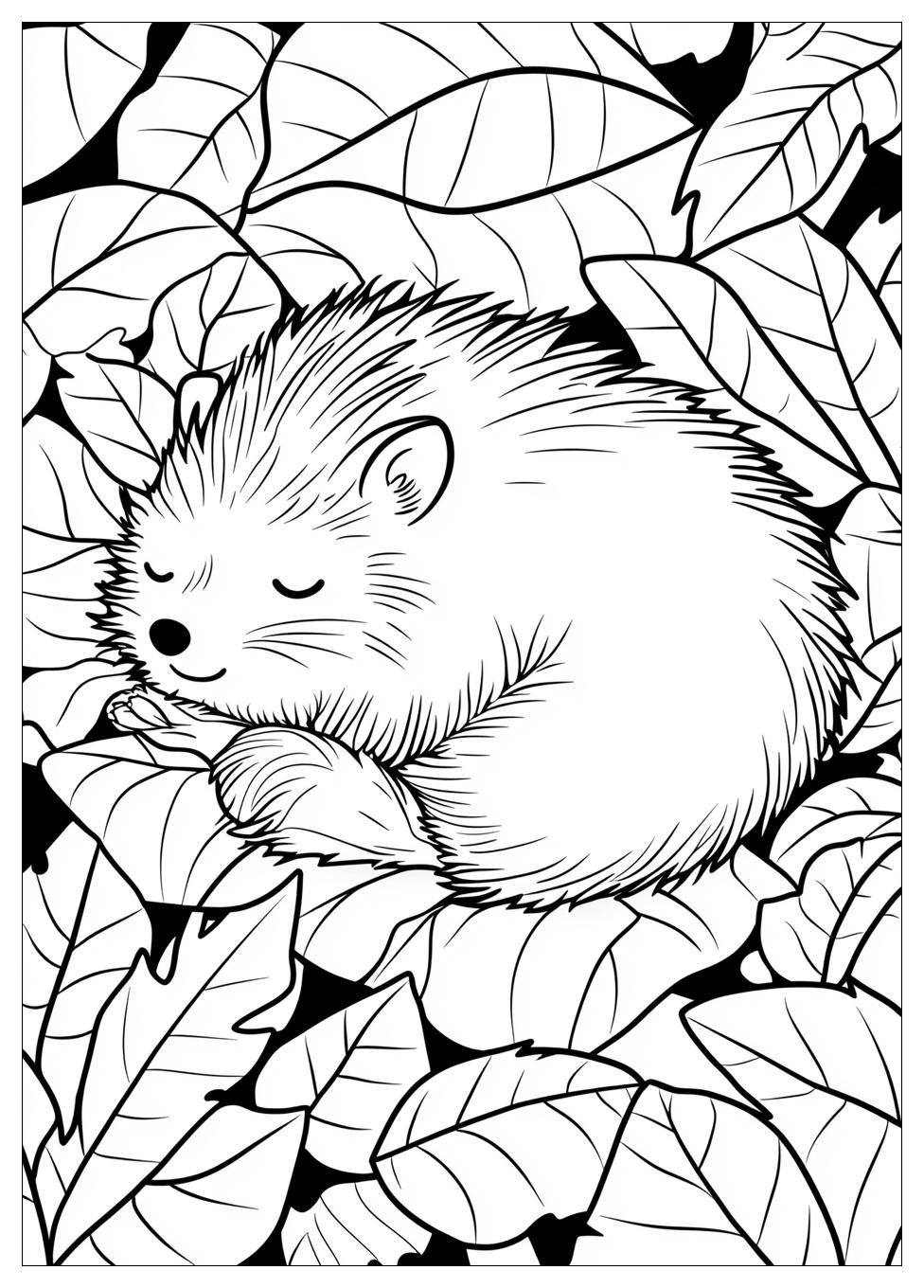 hibernation_coloring_pages_19