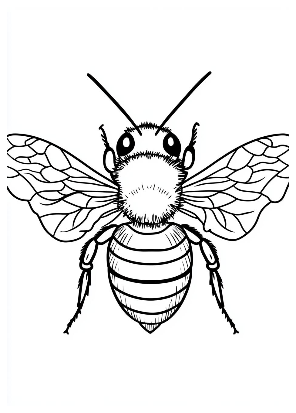 honey_bee_coloring_pages_1