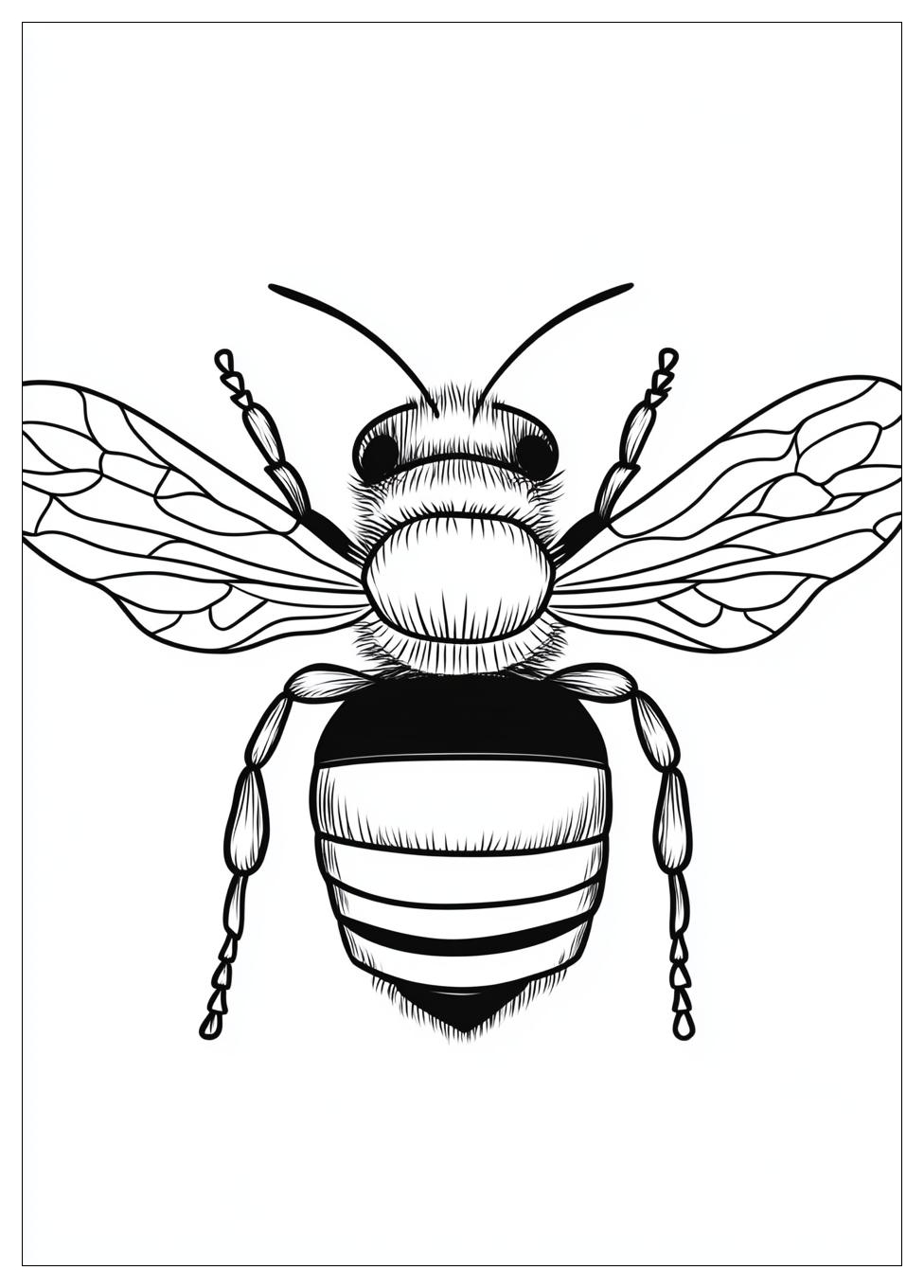 honey_bee_coloring_pages_12