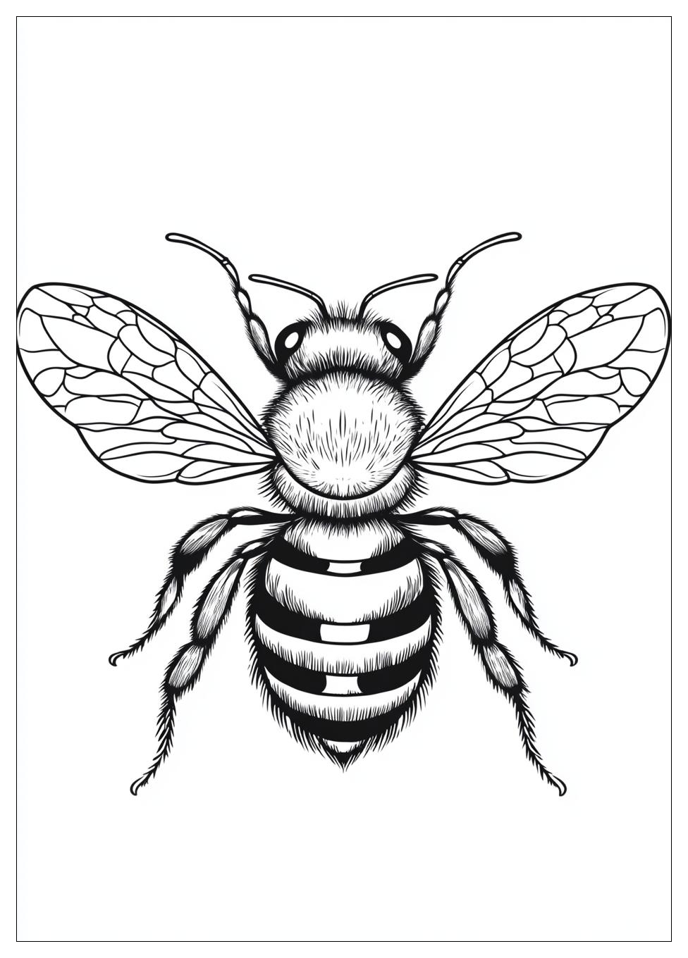 honey_bee_coloring_pages_14