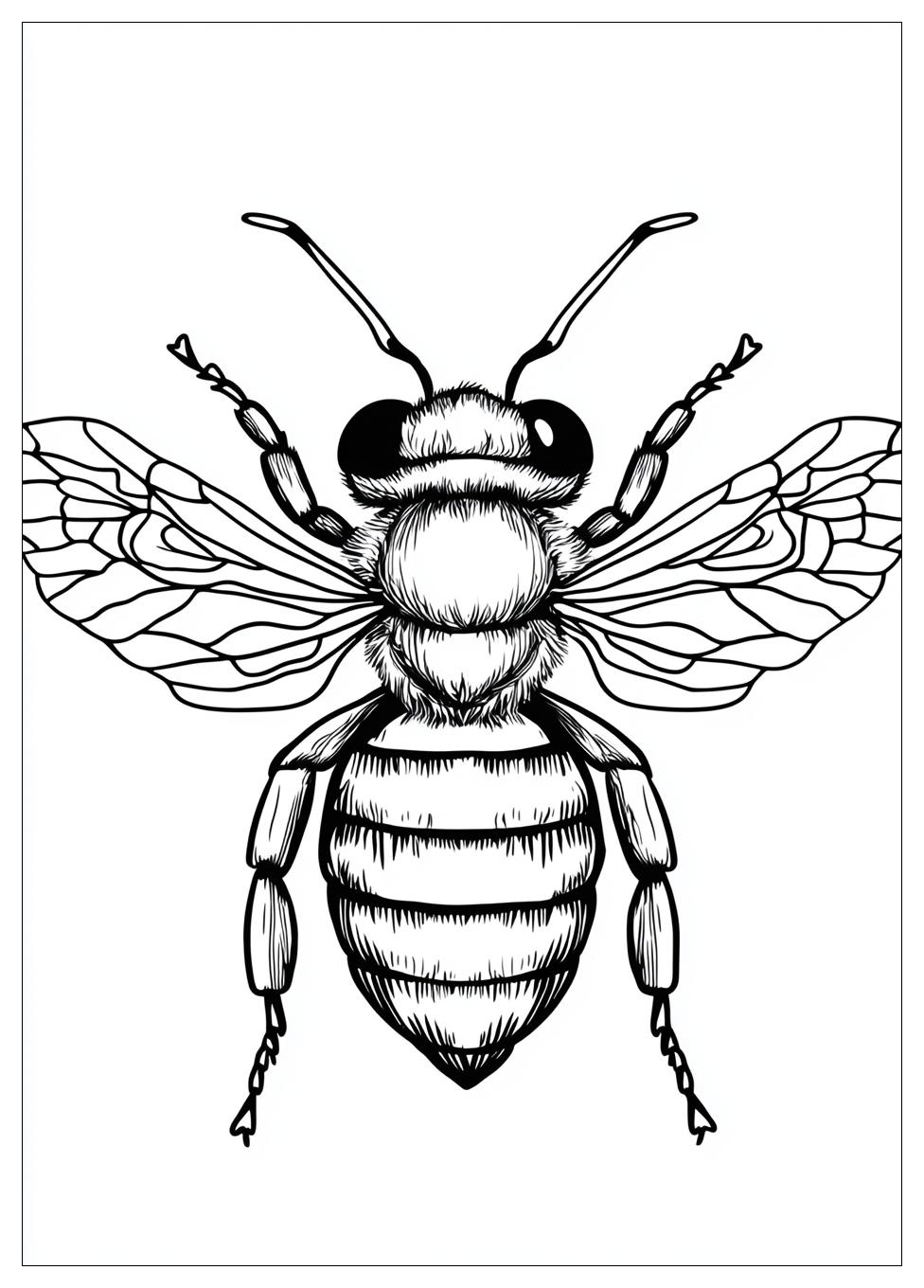 honey_bee_coloring_pages_8