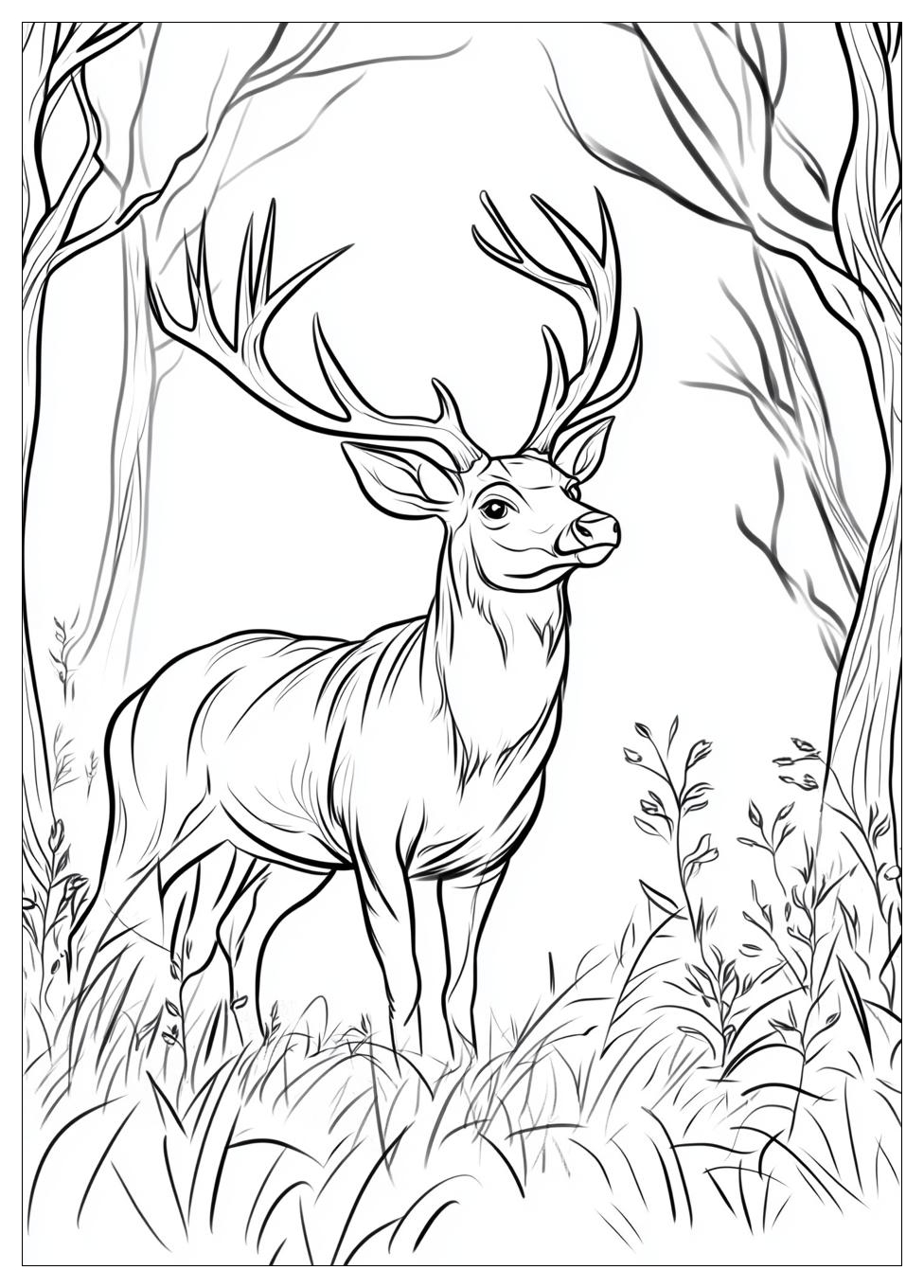 hunting_coloring_pages_1