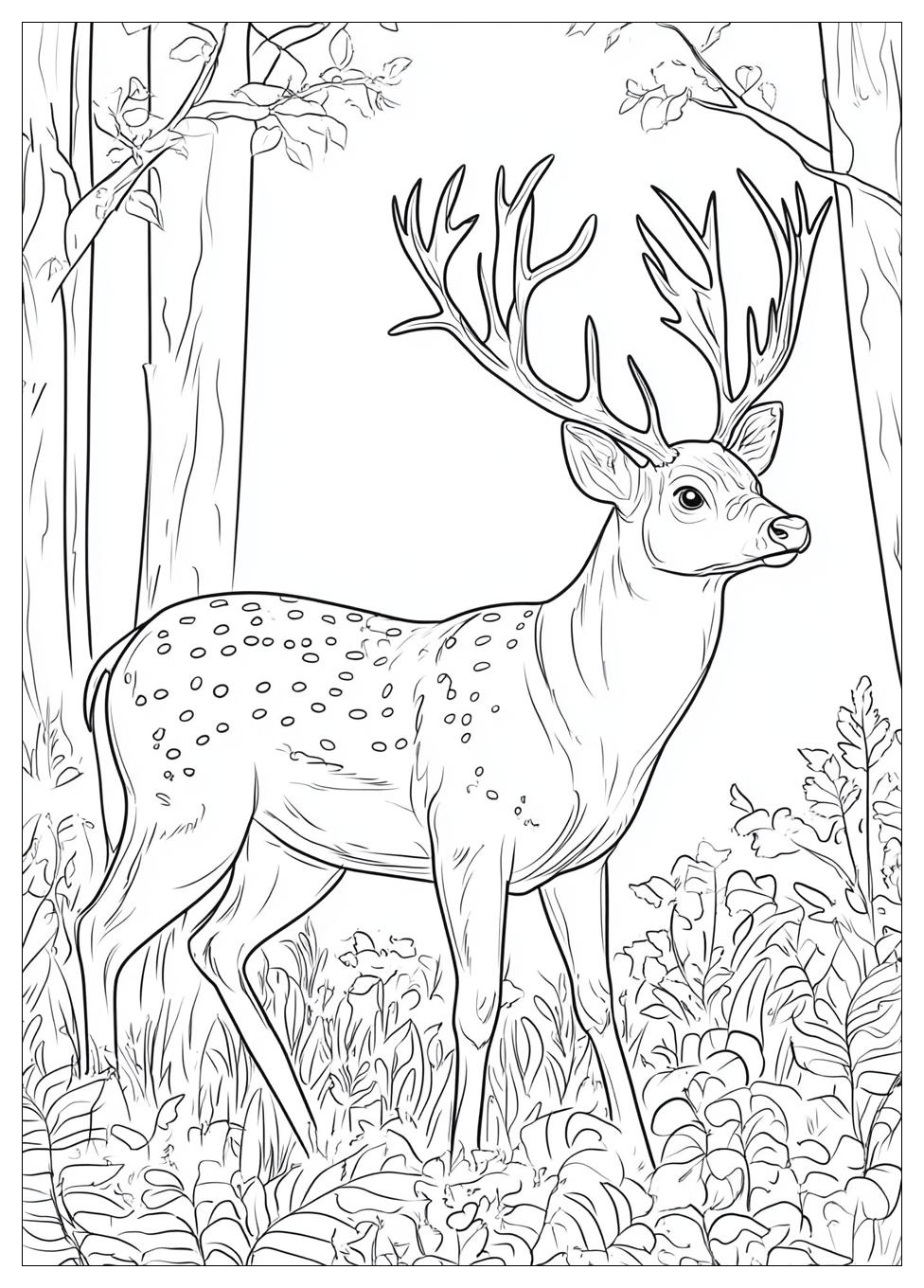 hunting_coloring_pages_21