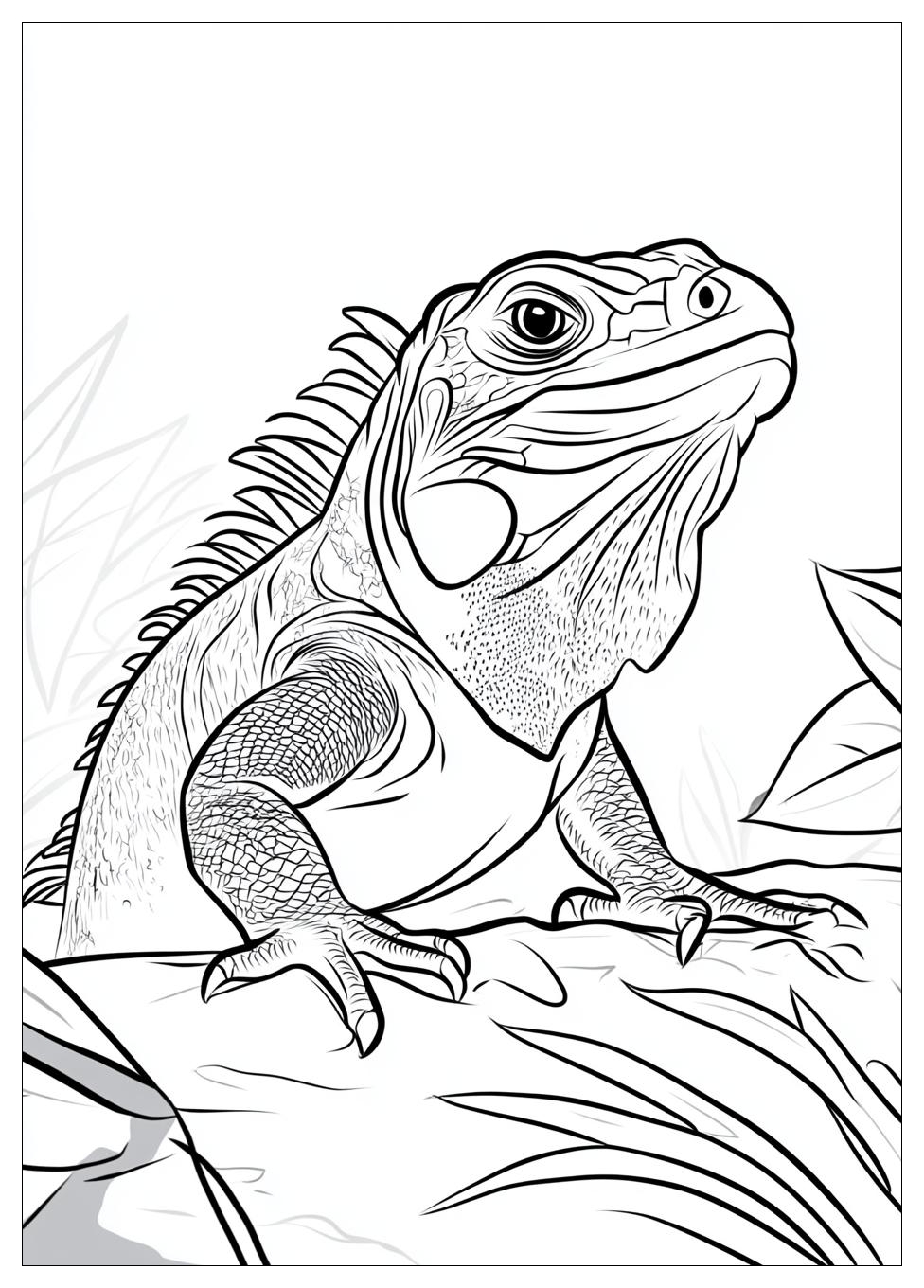 iguana_coloring_pages_1