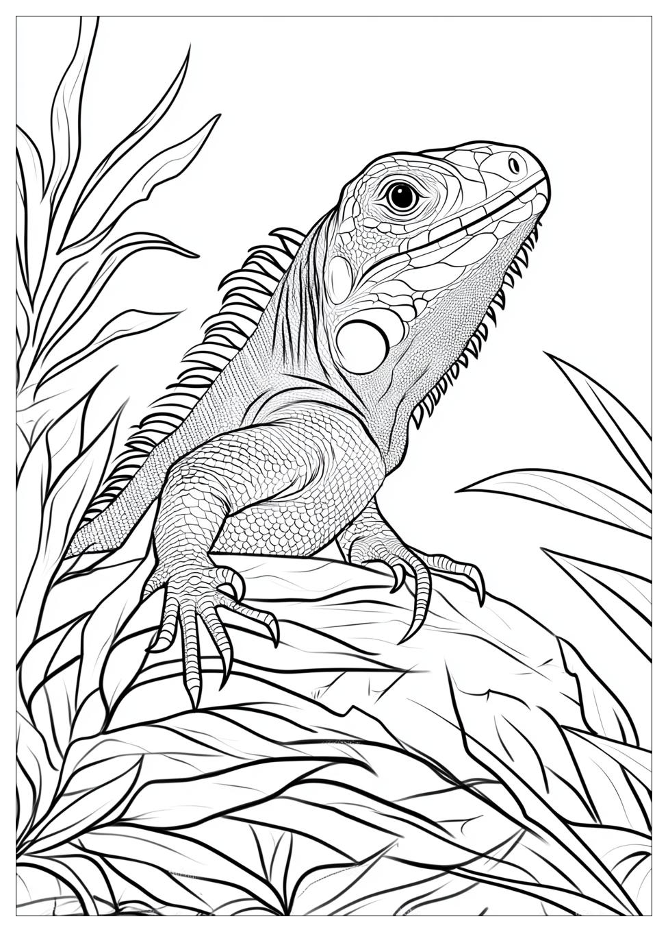 iguana_coloring_pages_13