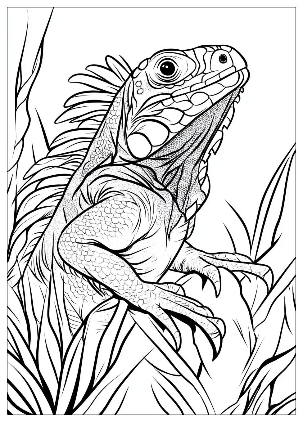 iguana_coloring_pages_19