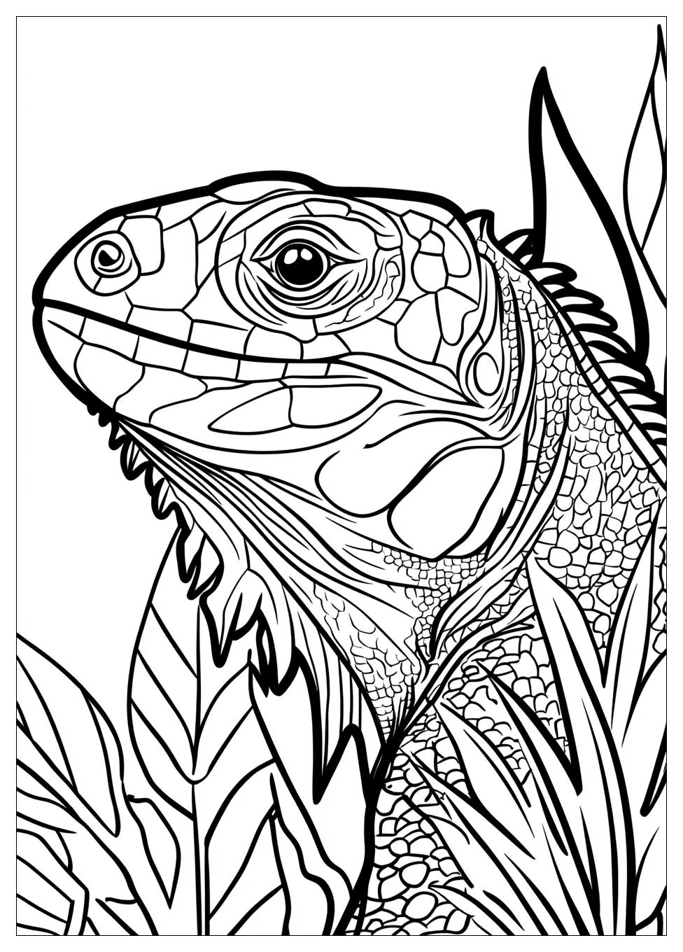 iguana_coloring_pages_20