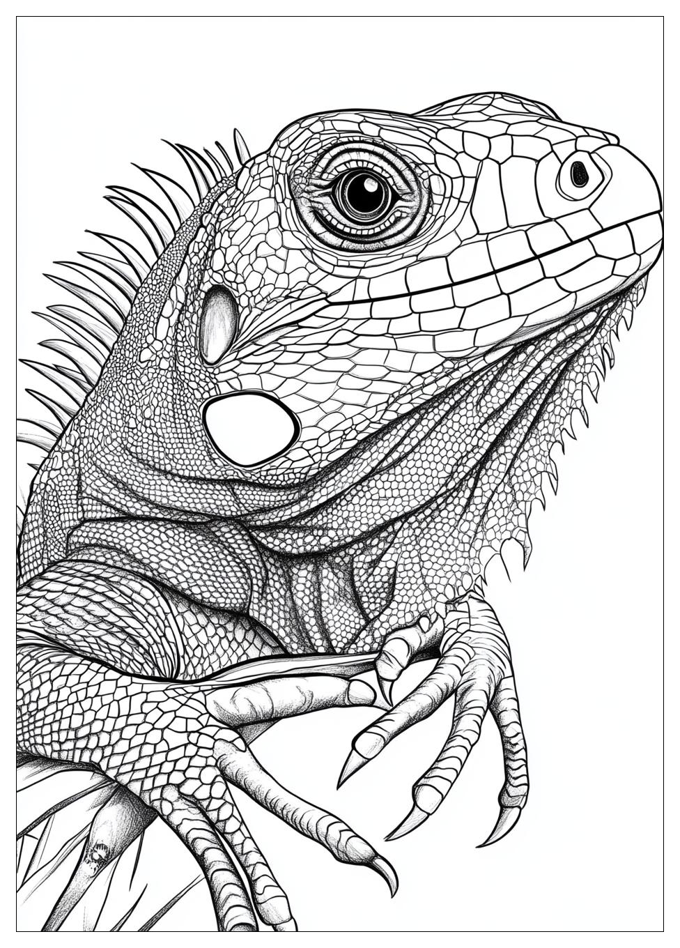 iguana_coloring_pages_23