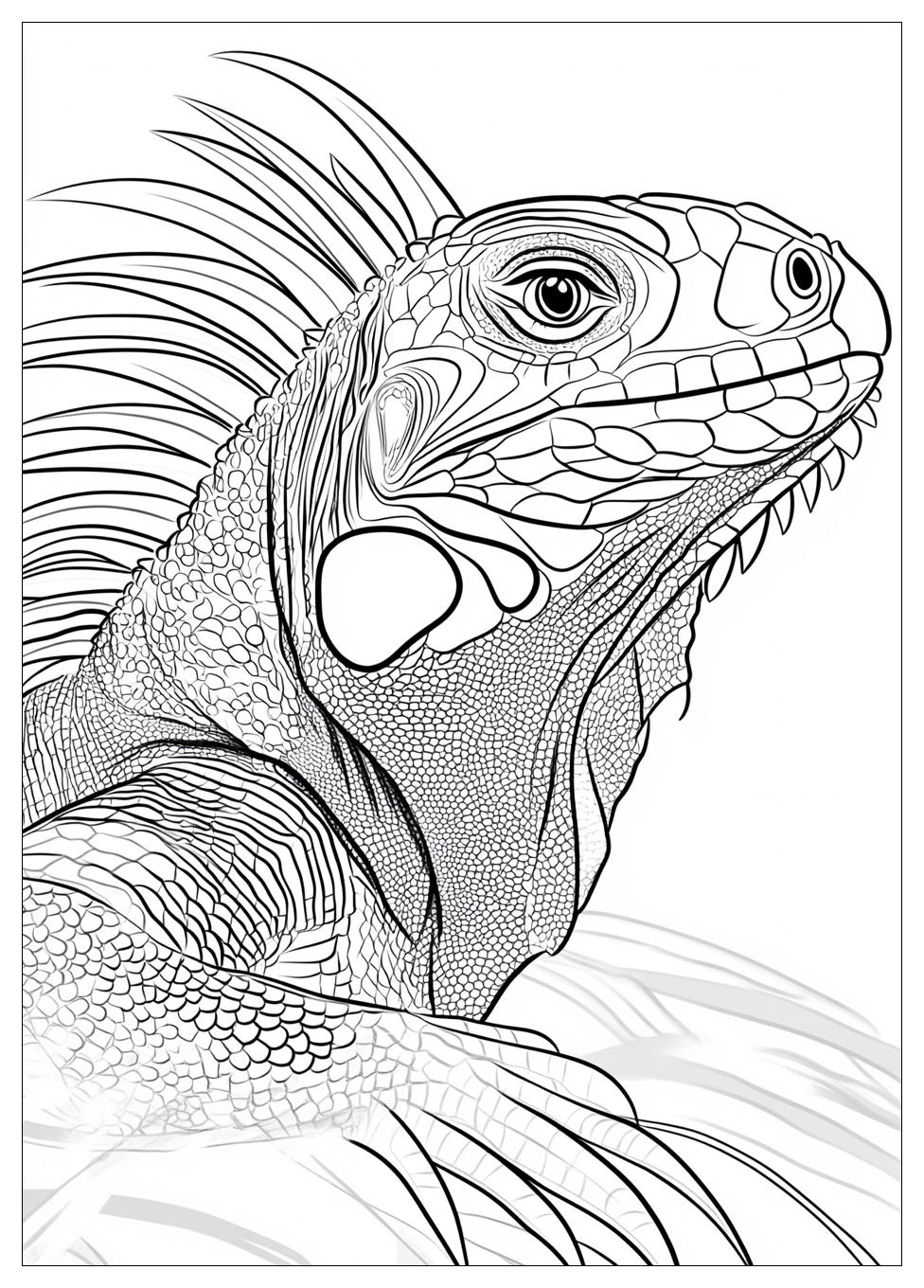 iguana_coloring_pages_3