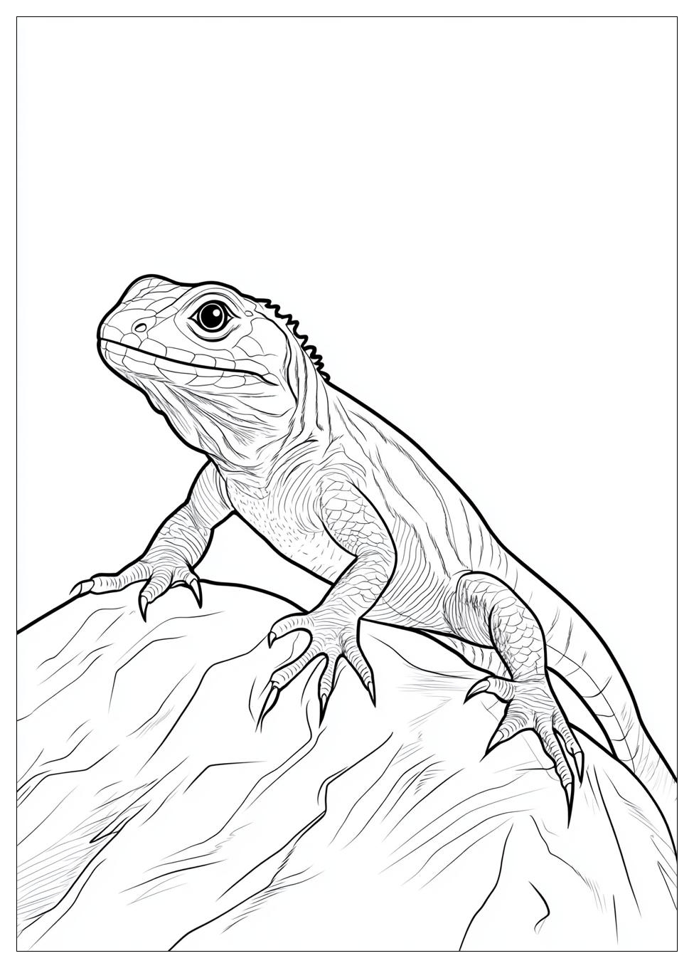 lizard_coloring_pages_10