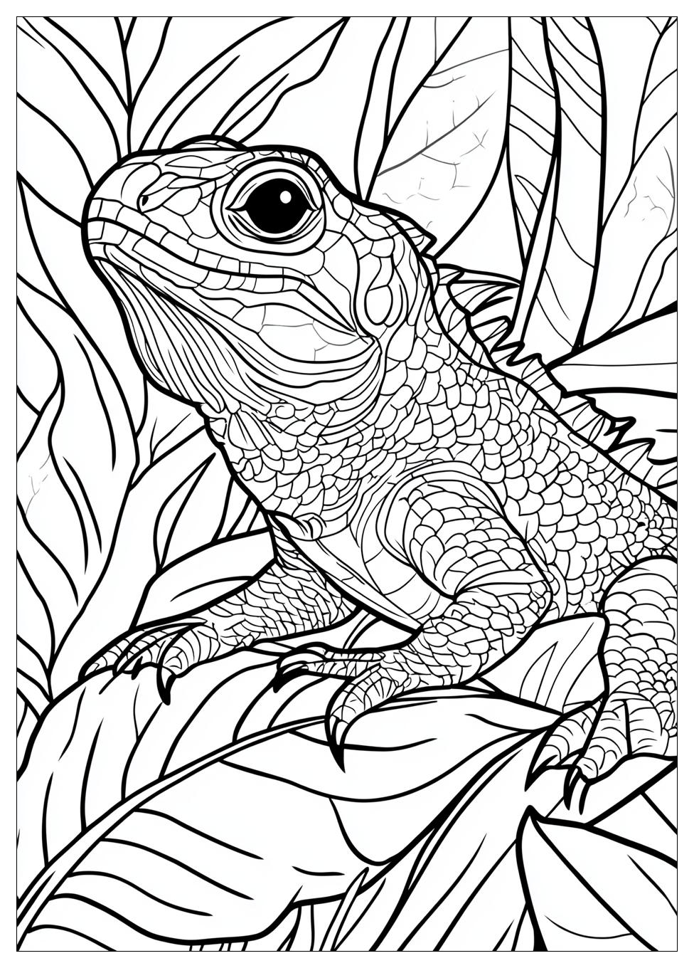 lizard_coloring_pages_12