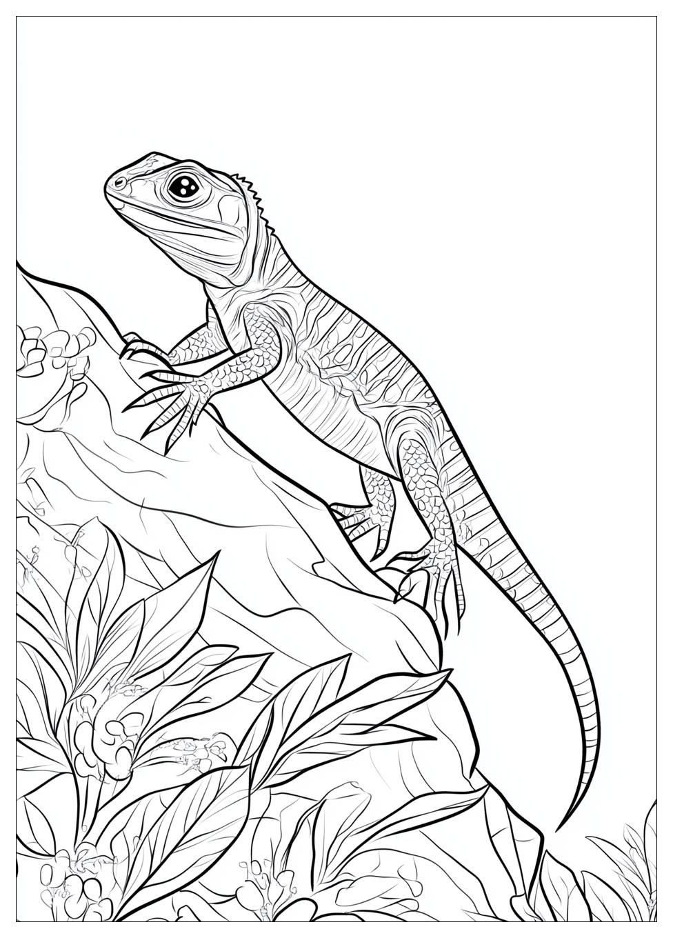 lizard_coloring_pages_13