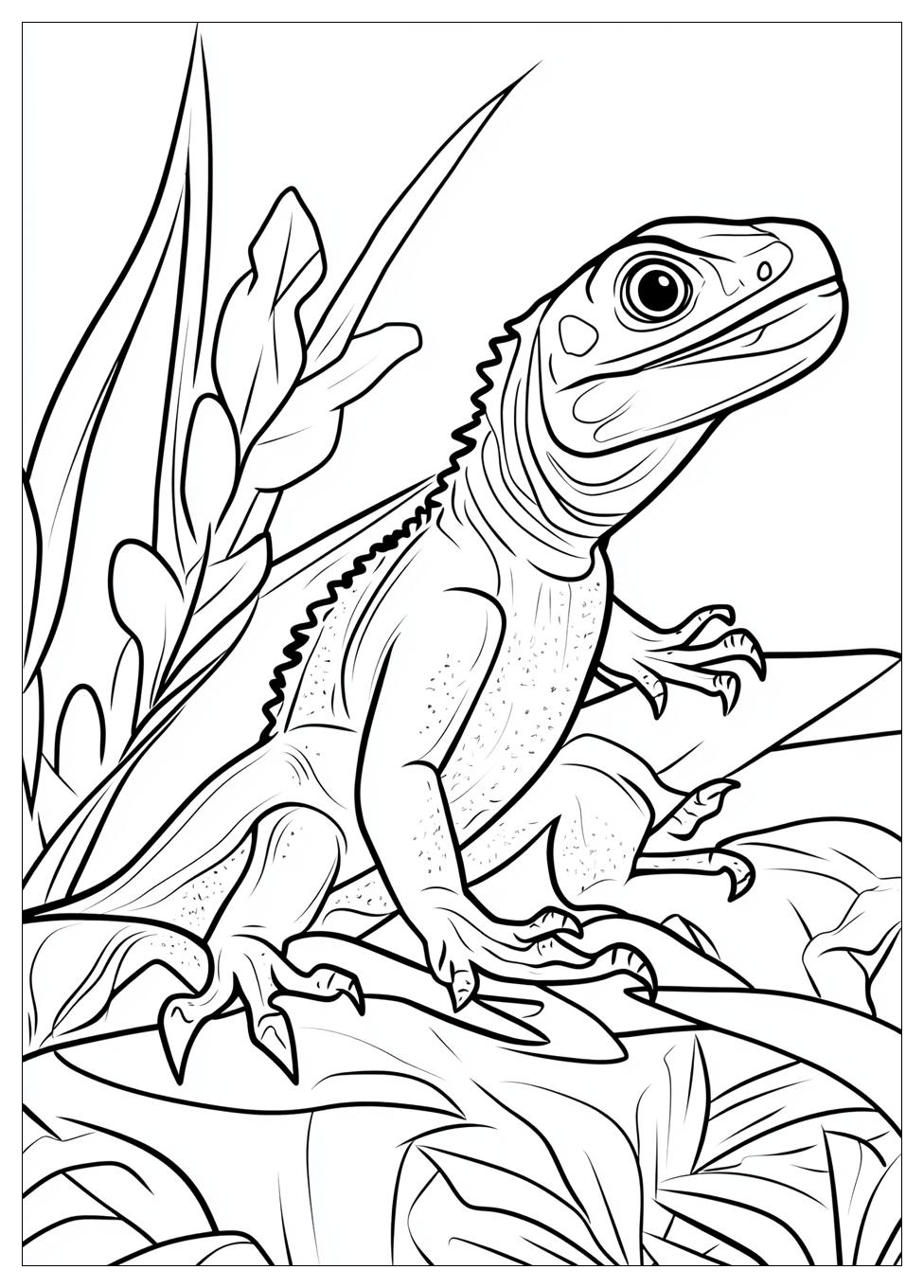 lizard_coloring_pages_18