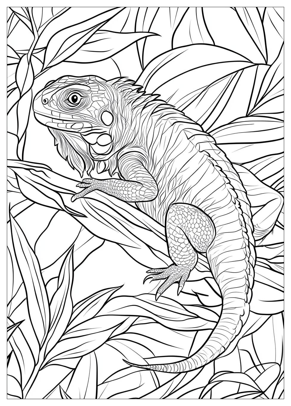 lizard_coloring_pages_21