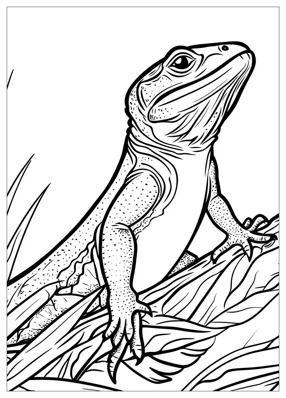 lizard_coloring_pages_3