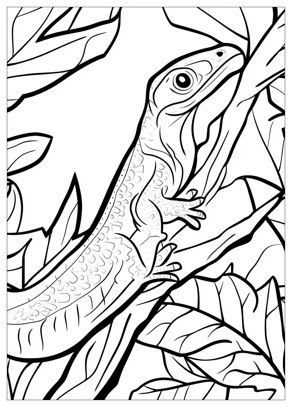 lizard_coloring_pages_9