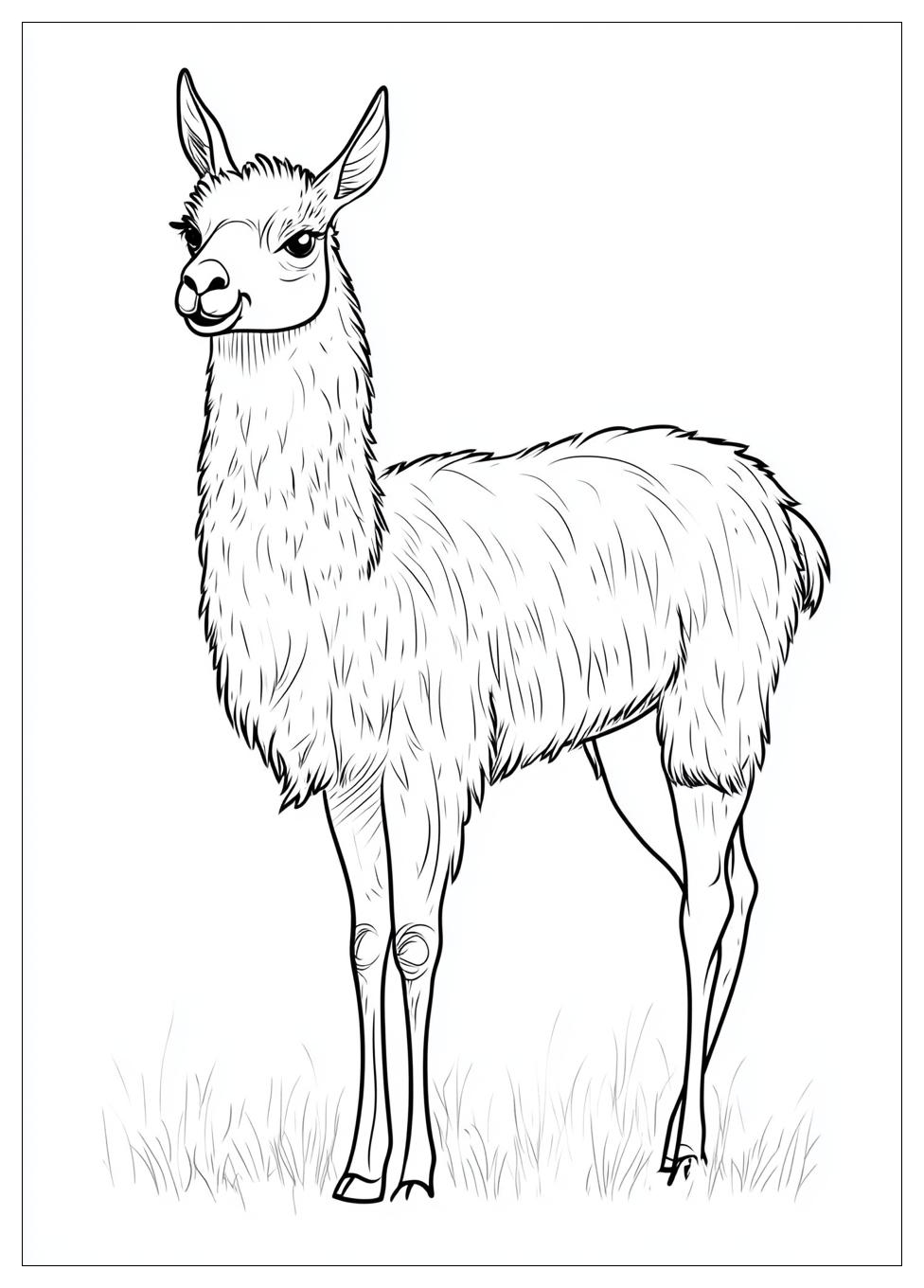 llama_coloring_pages_16