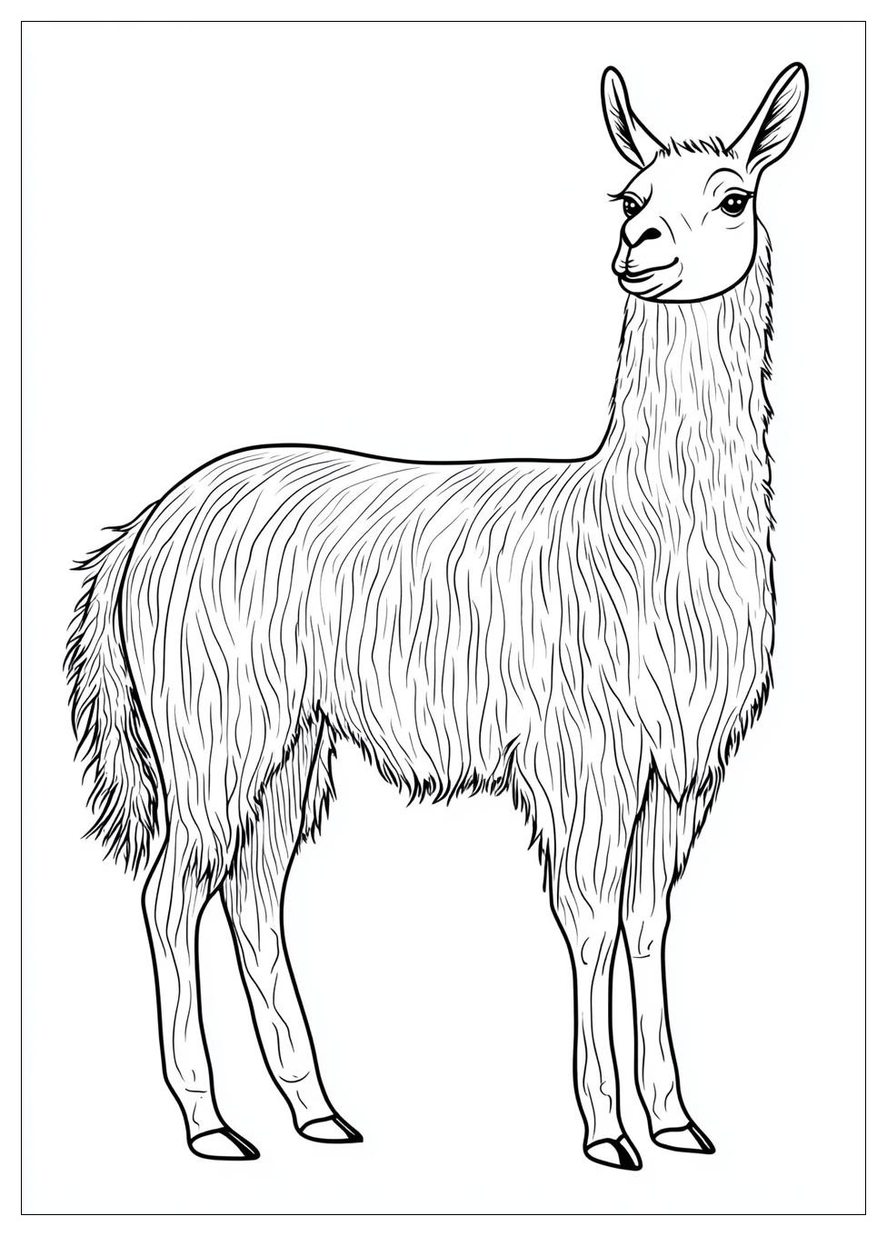 llama_coloring_pages_18