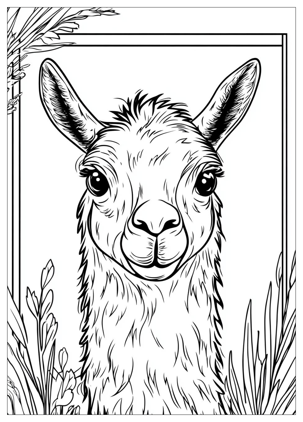 llama_coloring_pages_2