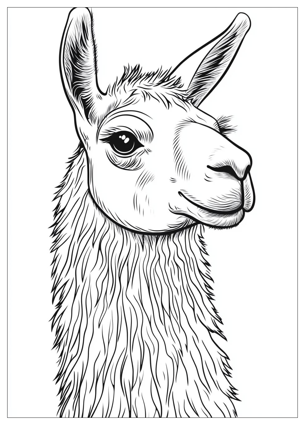 llama_coloring_pages_20