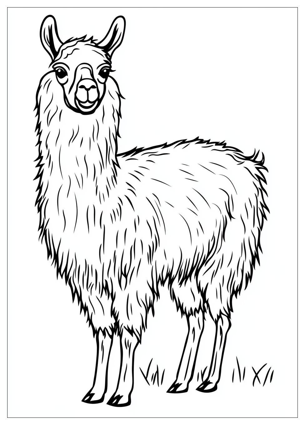 llama_coloring_pages_8