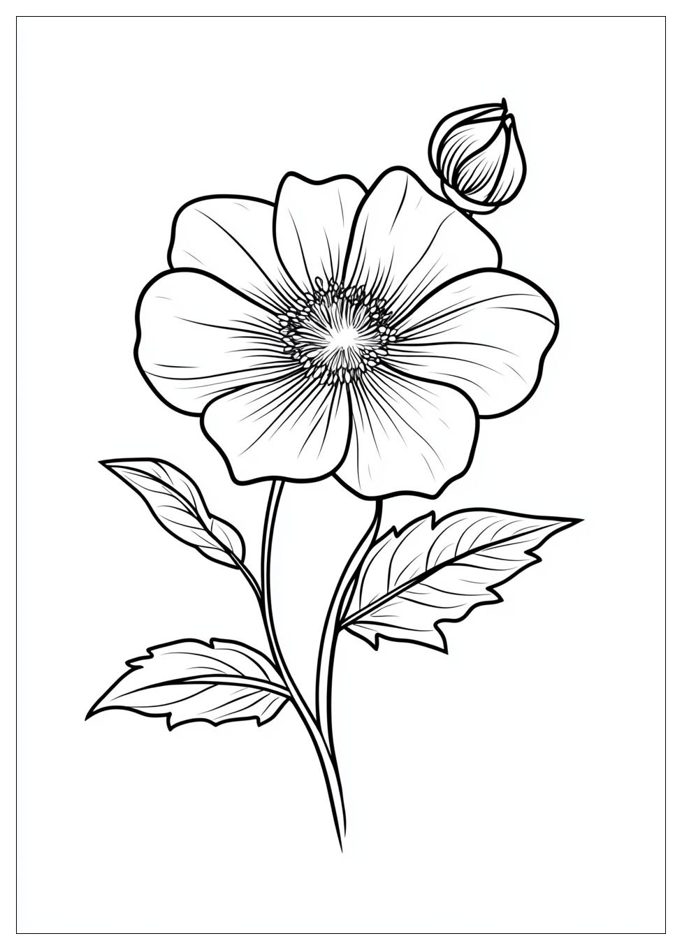 may_coloring_pages_4