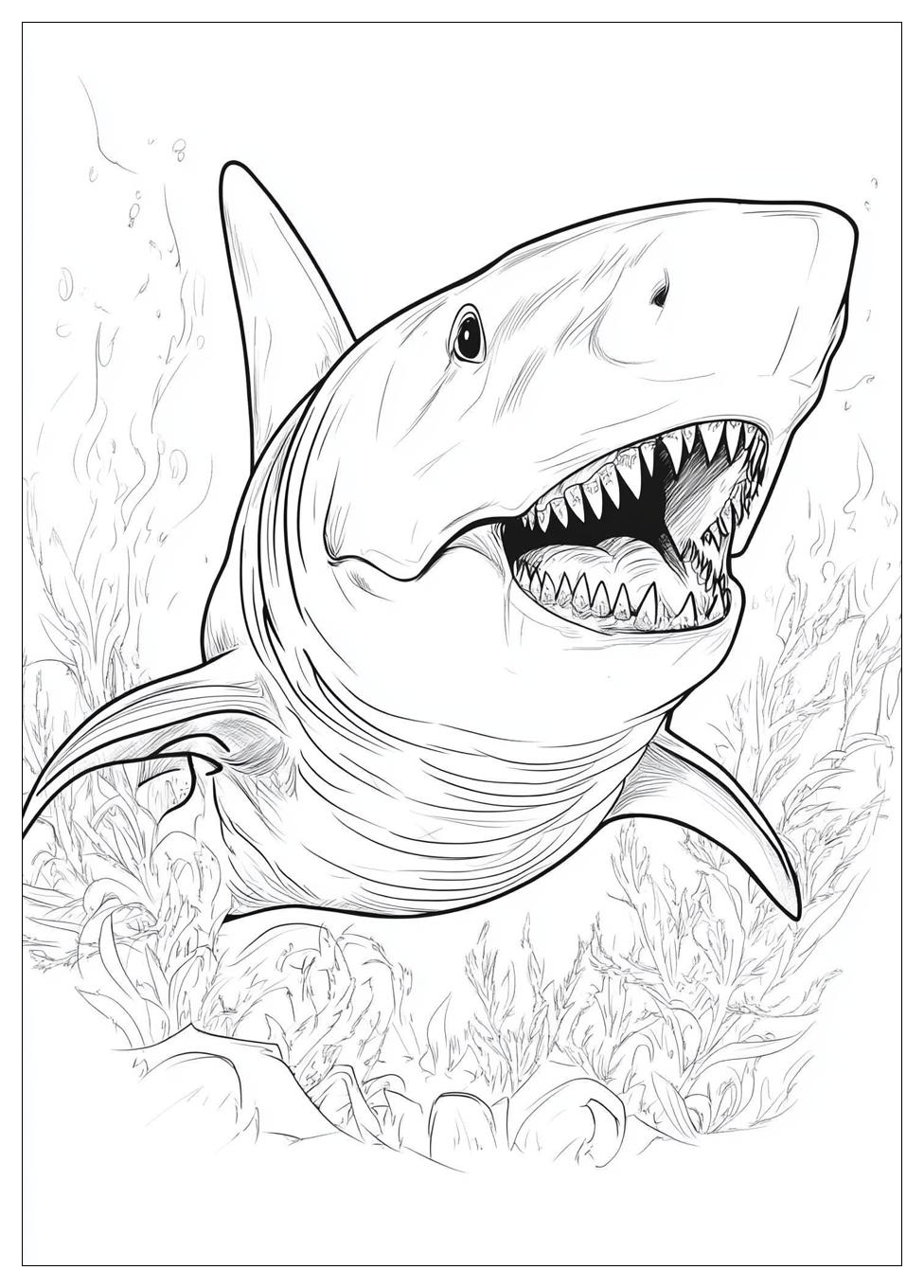 megalodon_coloring_pages_17