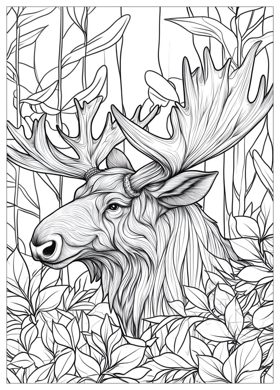 moose_coloring_pages_22