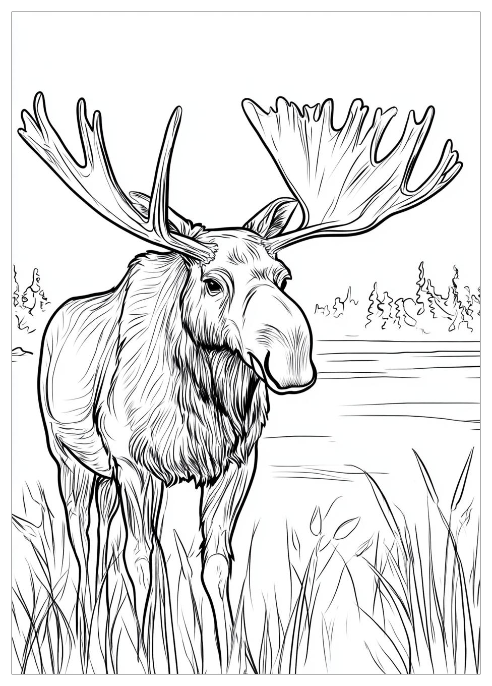 moose_coloring_pages_4