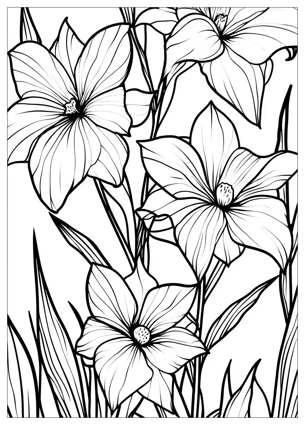 nature_coloring_pages_10