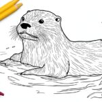 Otter Coloring Pages : Fun & Educational Designs for Kids