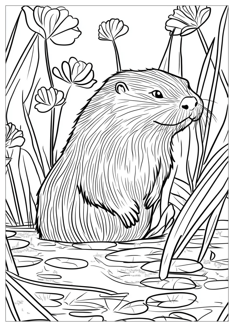 otter_coloring_pages_23