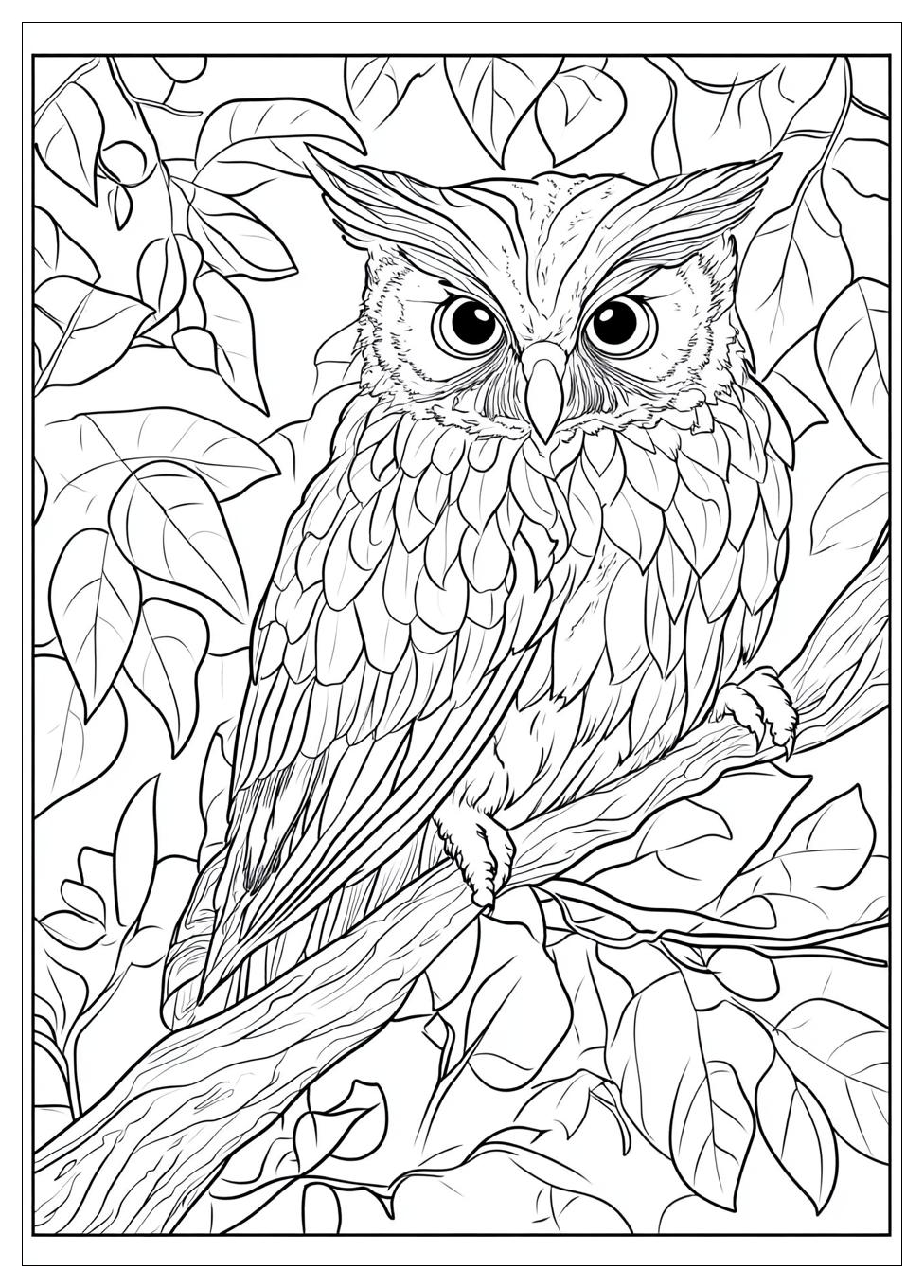 owl_coloring_pages_12