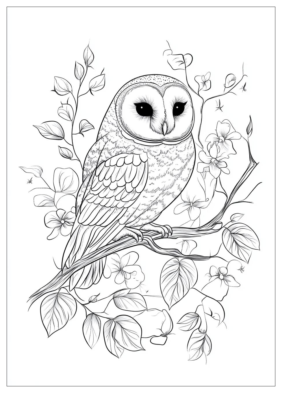 owl_coloring_pages_20