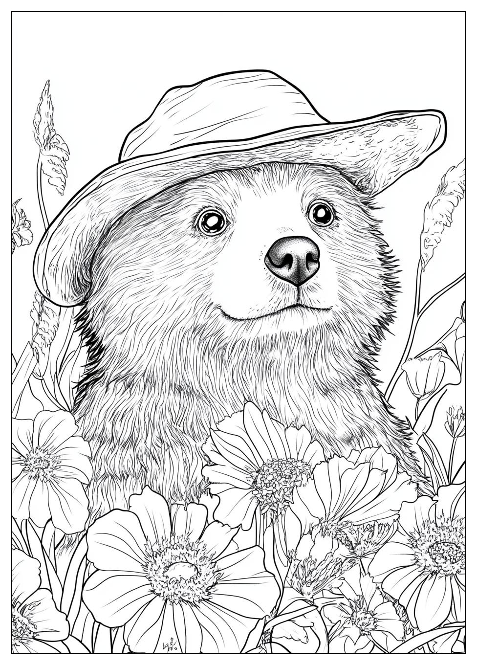 paddington_coloring_pages_24