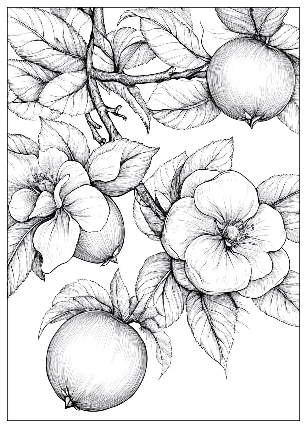 peach_coloring_pages_21