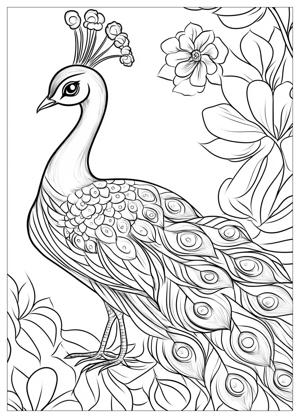 peacock_coloring_pages_14