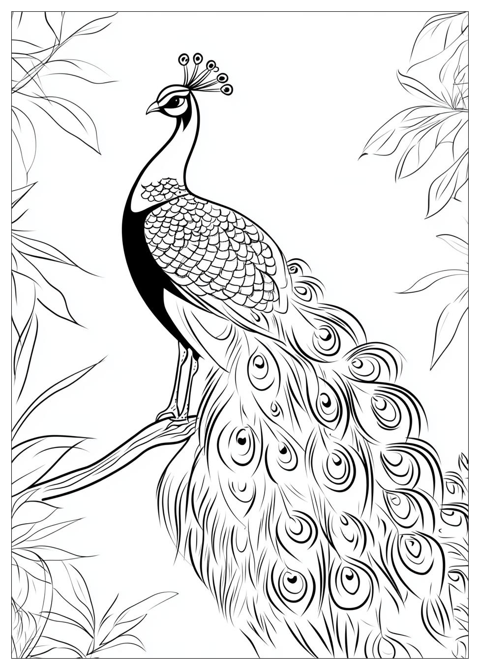 peacock_coloring_pages_15