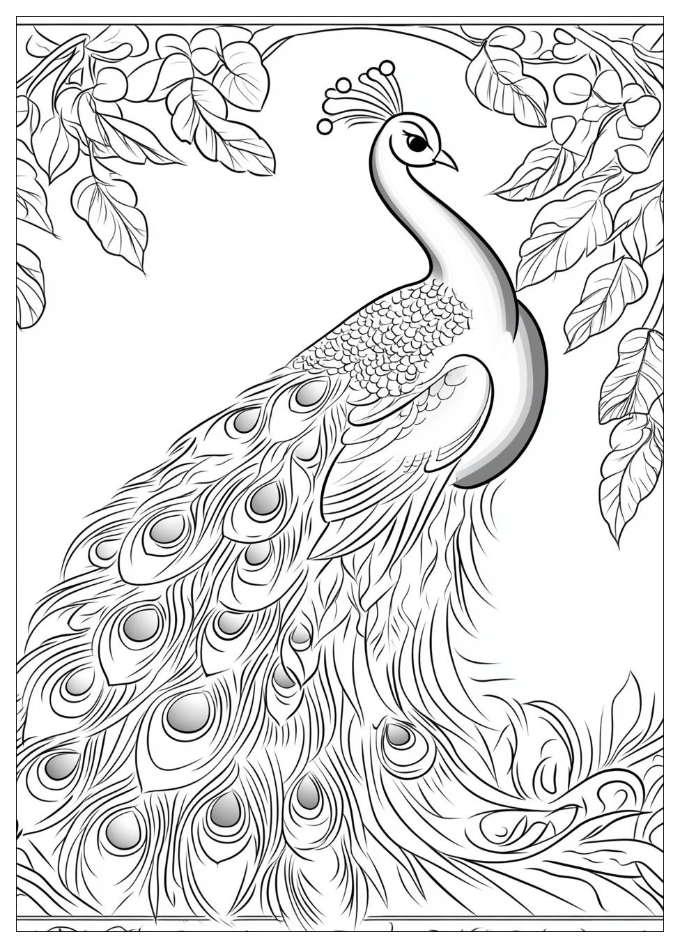 peacock_coloring_pages_16