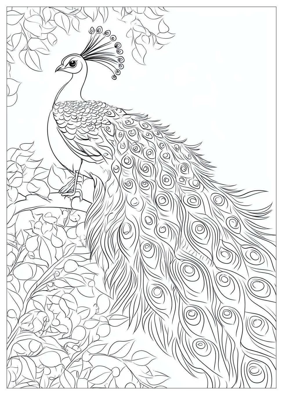 peacock_coloring_pages_2