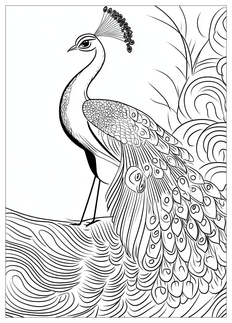 peacock_coloring_pages_5