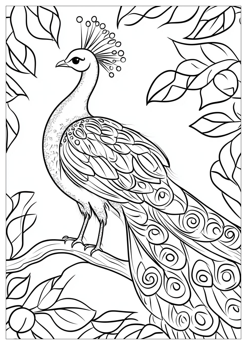 peacock_coloring_pages_6