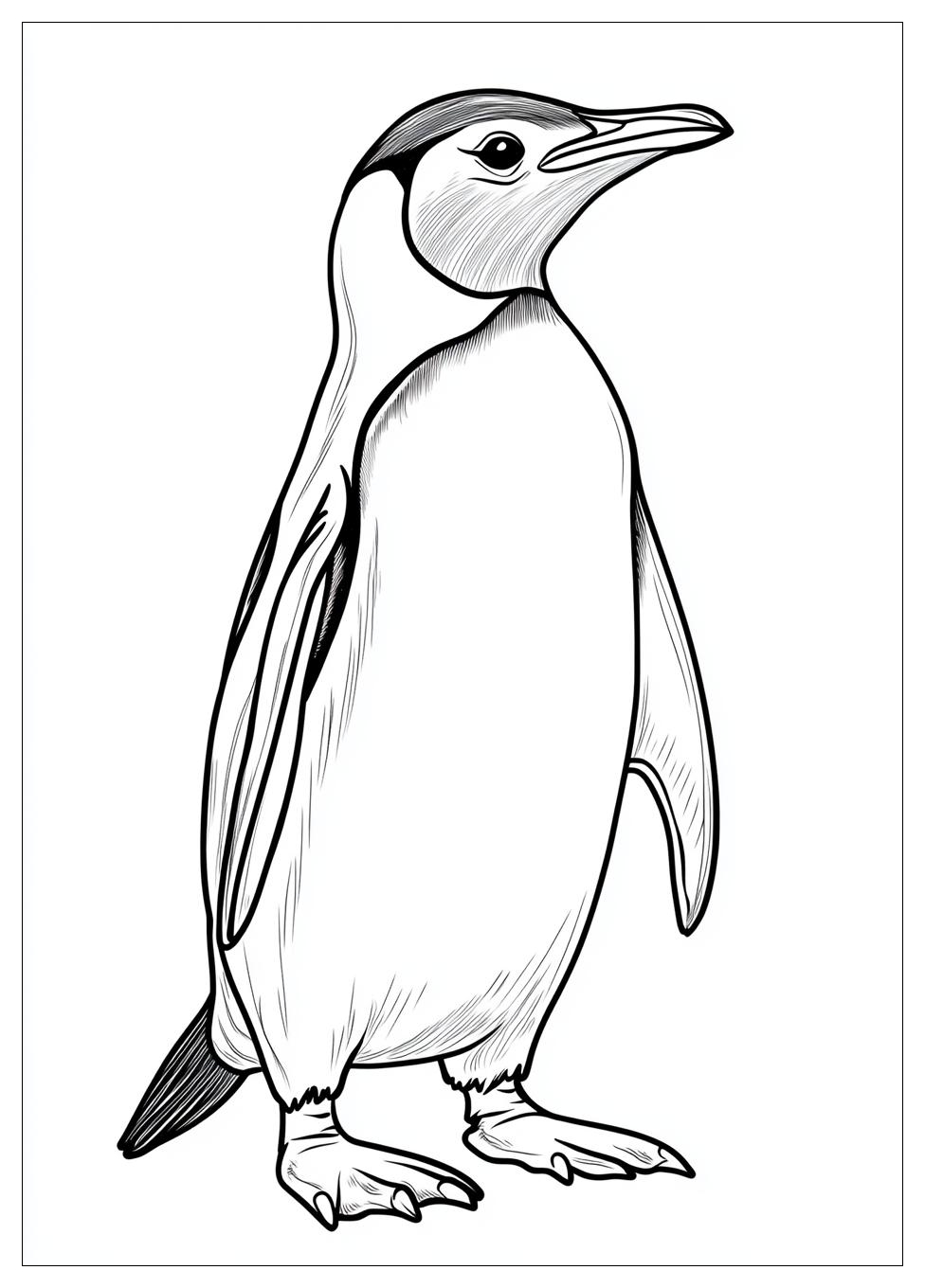 penguin_coloring_pages_11