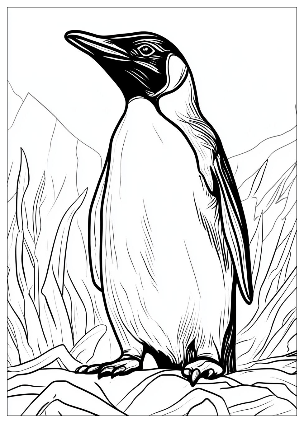 penguin_coloring_pages_24