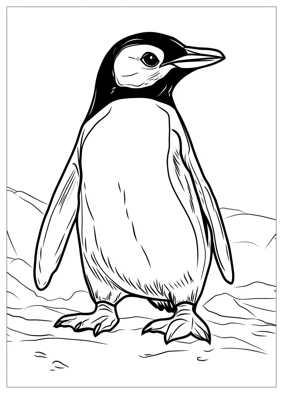 penguin_coloring_pages_3