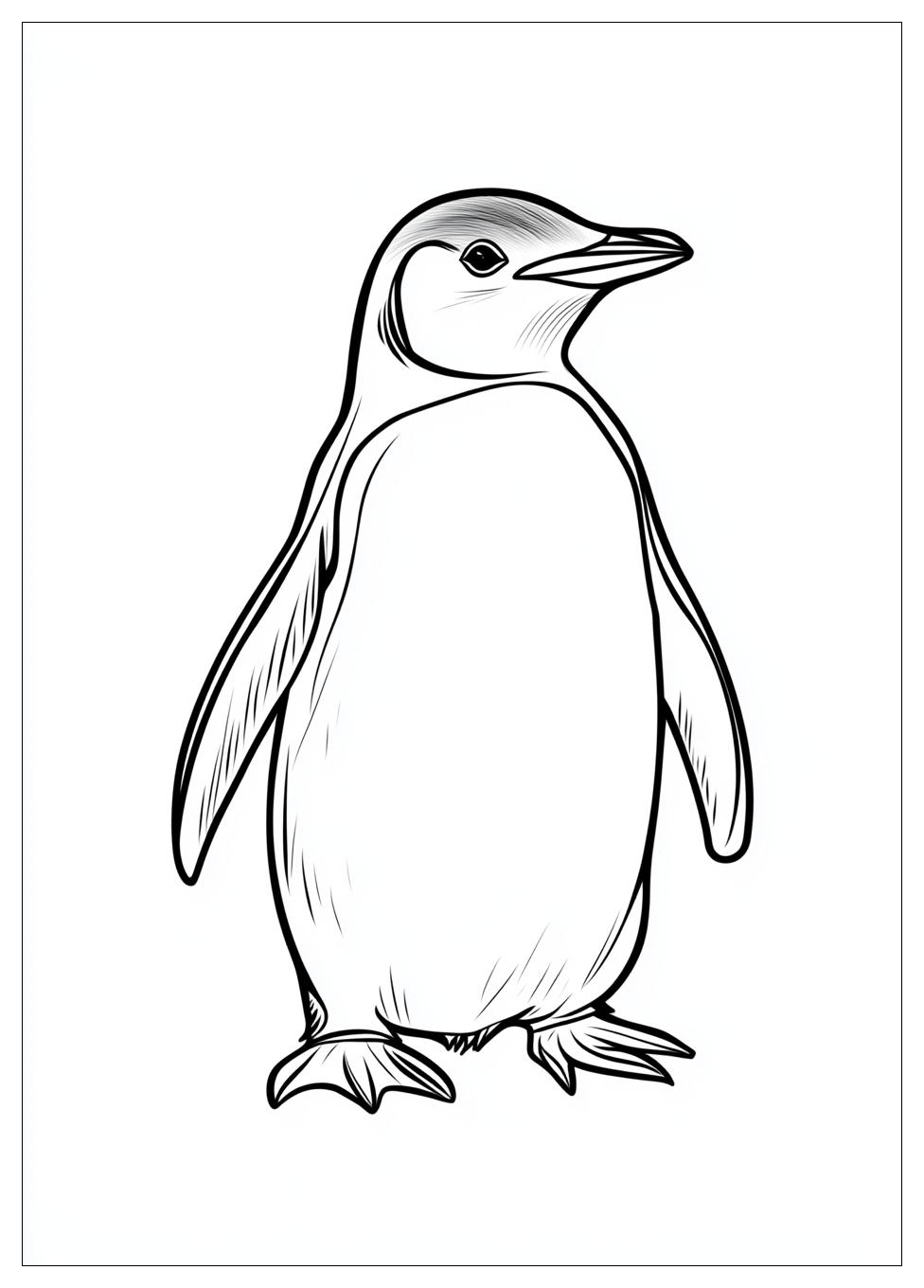 penguin_coloring_pages_6