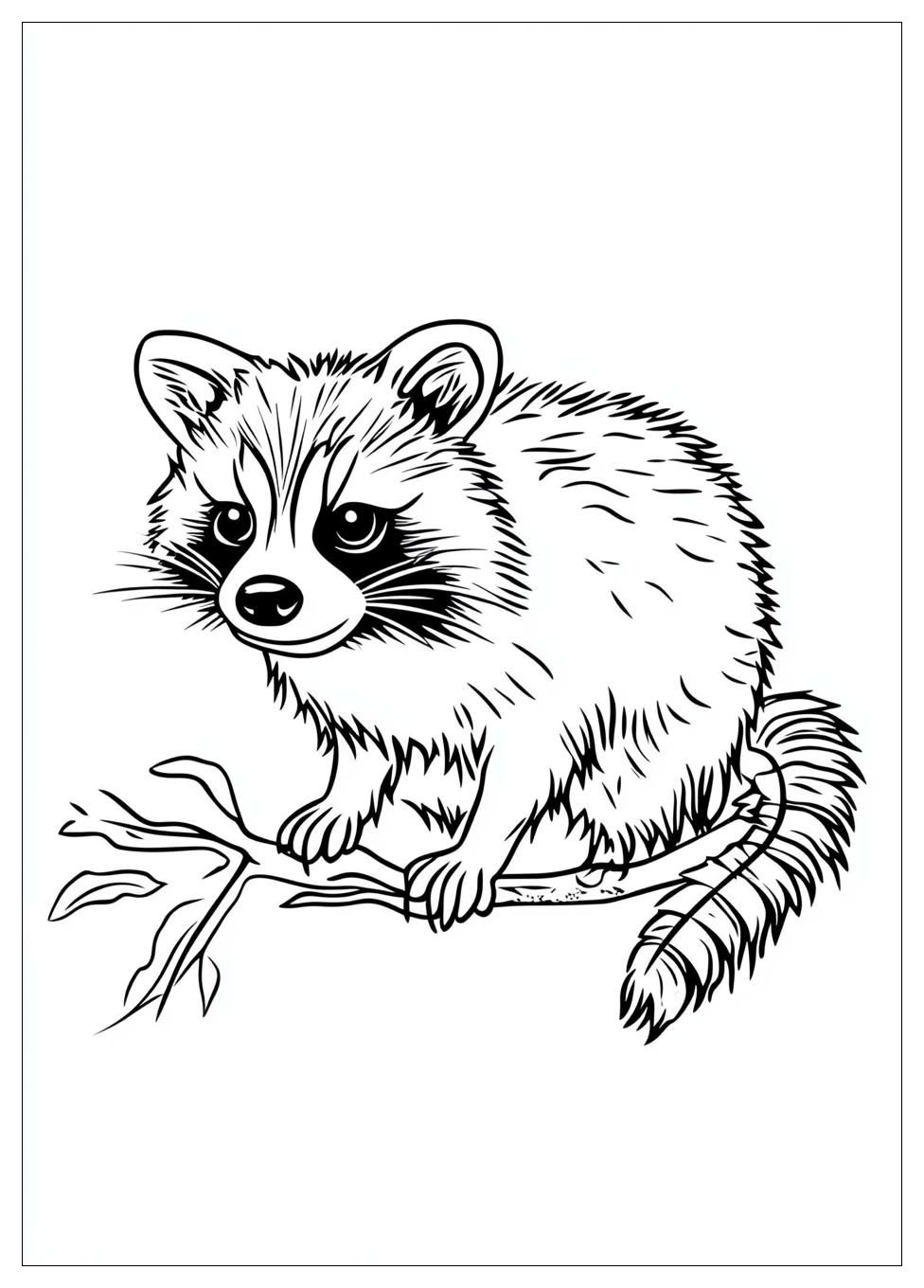 racoon_coloring_pages_2